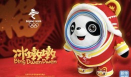 都市爆料冰墩墩视频大全,都市爆料视频大全带你领略冬奥萌宠风采