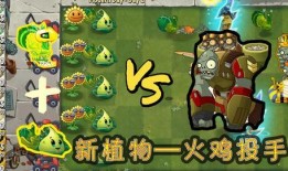 火鸡投手爆料视频大全下载,揭秘幕后真相与精彩瞬间